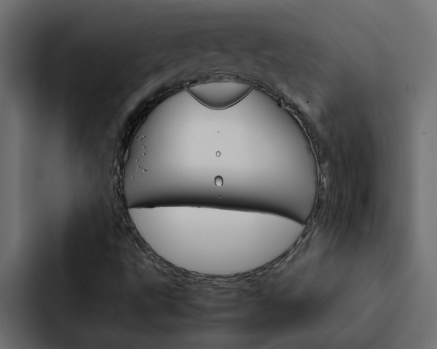 X0000088231495200705151038