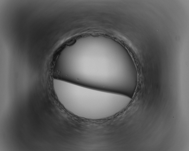 X0000088231496200705151038