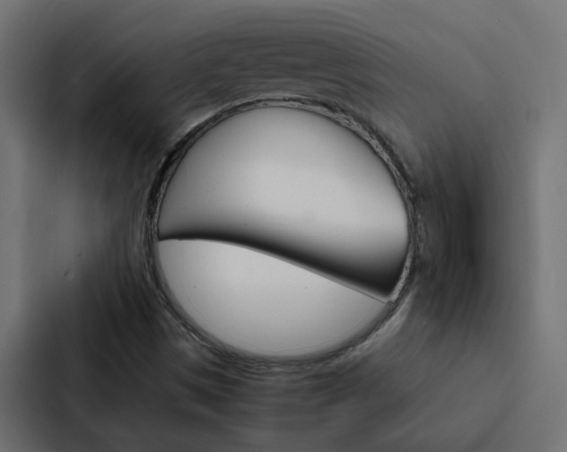 X0000088231497200705151038