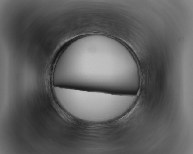 X0000088231499200705151038