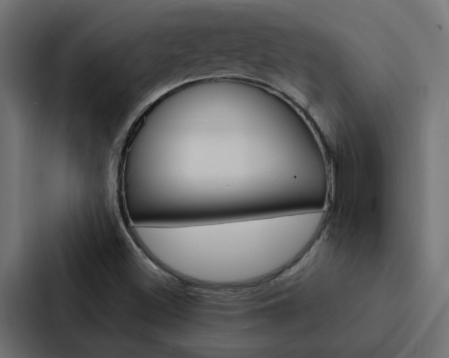 X0000088231500200705151038