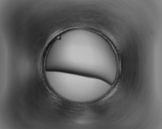 X0000088231501200705151038