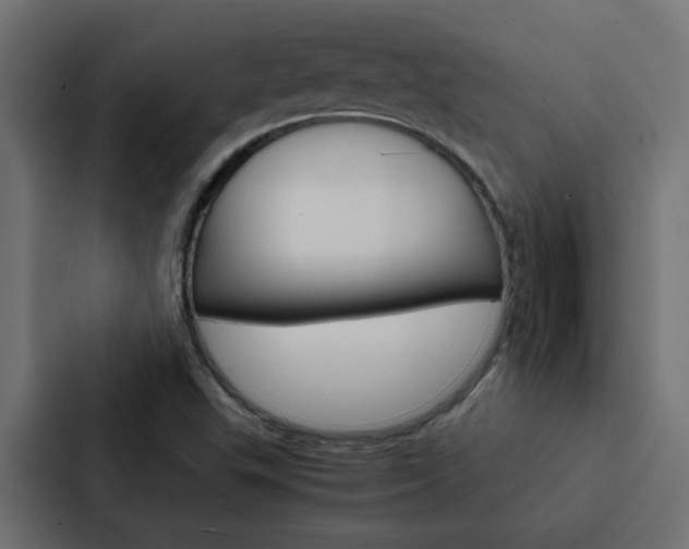 X0000088231503200705151038