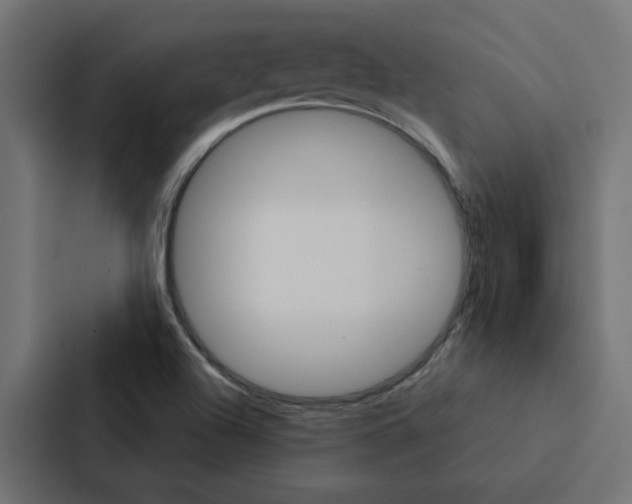 X0000088231504200705151038