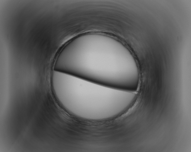 X0000088231505200705151038