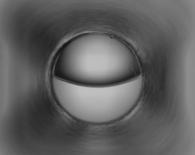 X0000088231506200705151038