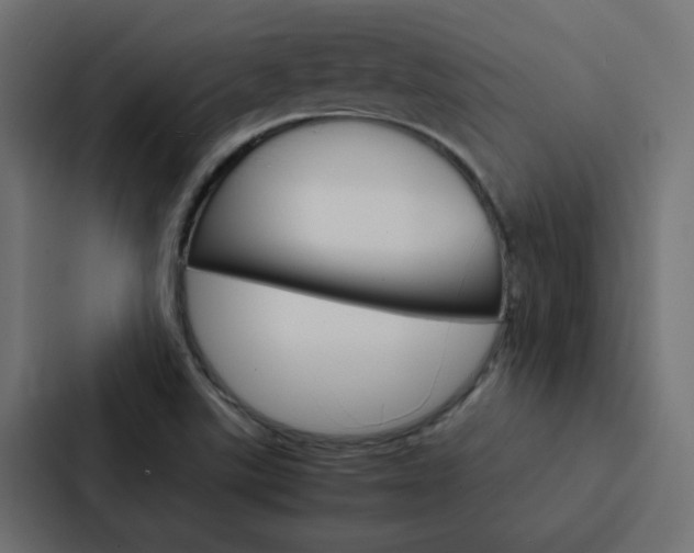 X0000088231507200705151038