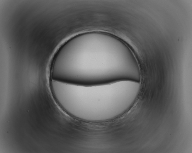 X0000088231508200705151038