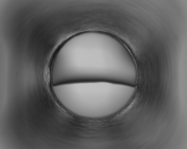 X0000088231509200705151038