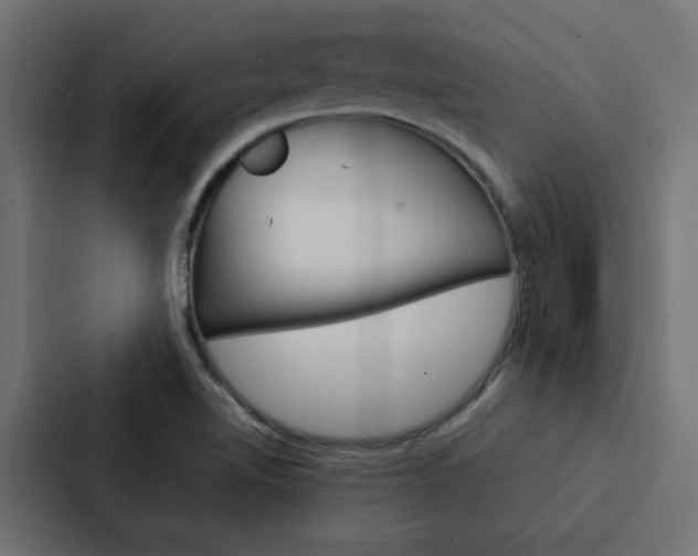 X0000088231510200705151038