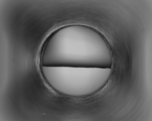 X0000088231511200705151038