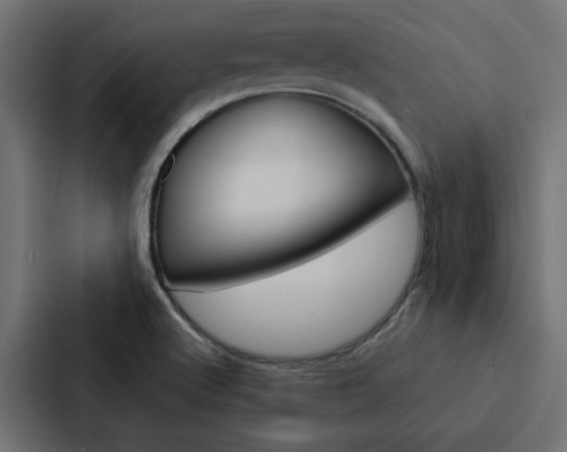 X0000088231512200705151038
