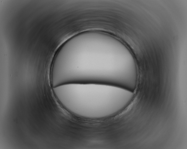 X0000088231513200705151038