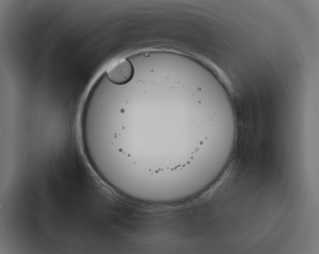 X0000088231514200705151038