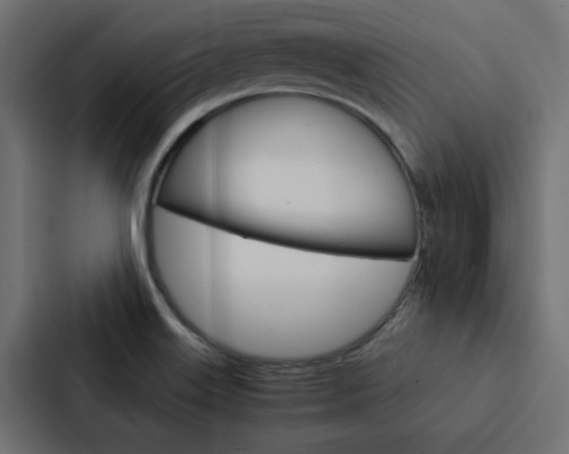 X0000088231515200705151038