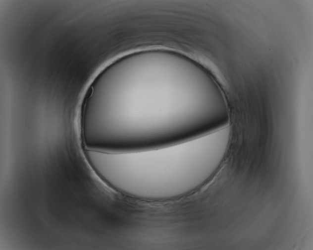 X0000088231516200705151038