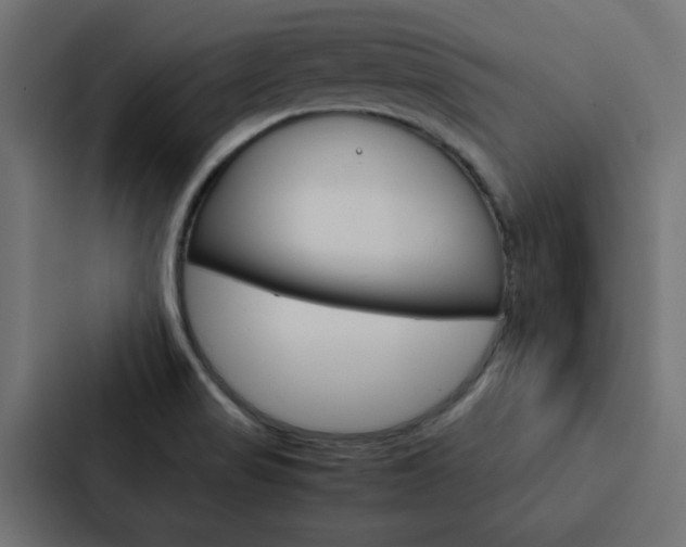 X0000088231517200705151039
