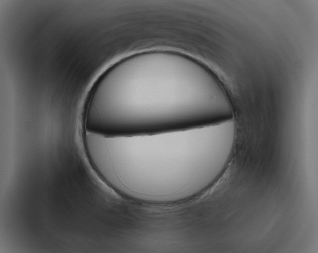 X0000088231518200705151039
