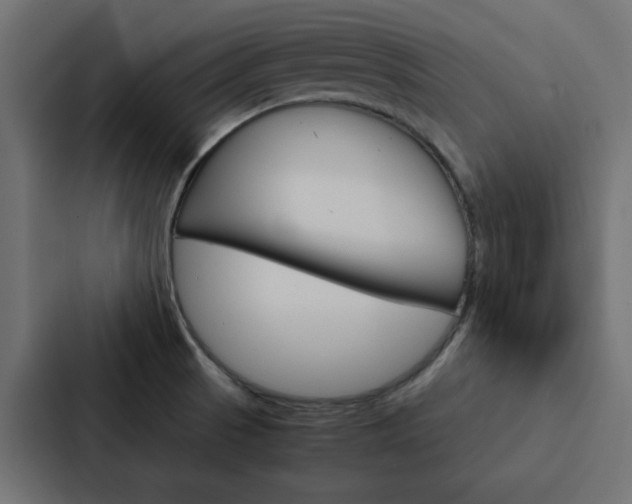 X0000088231521200705151039