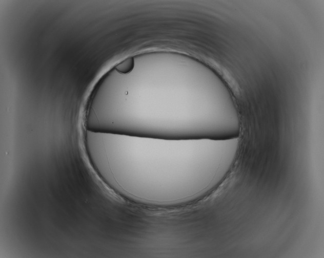 X0000088231522200705151039