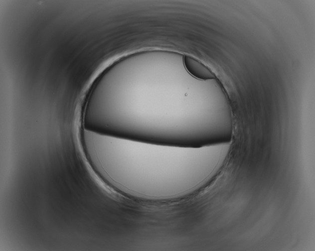 X0000088231523200705151039