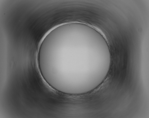 X0000088231524200705151039