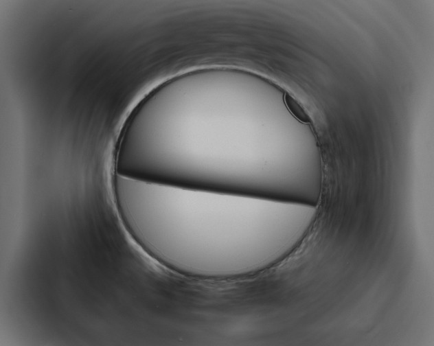 X0000088231527200705151039