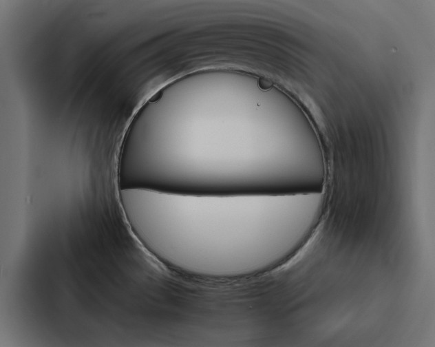 X0000088231529200705151039