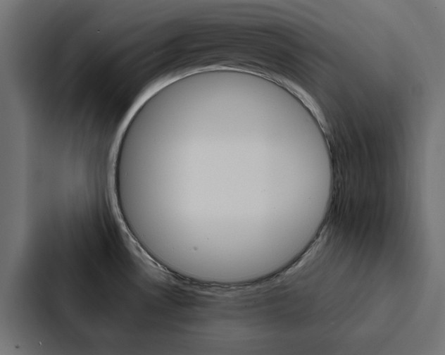 X0000088231530200705151039
