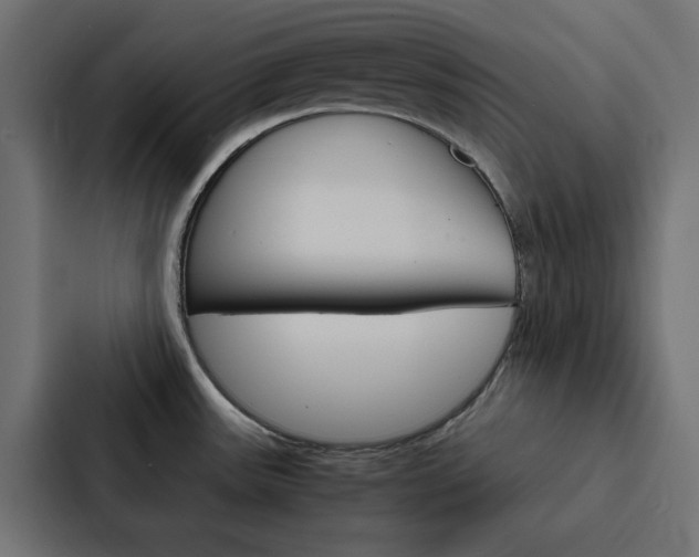 X0000088231531200705151039