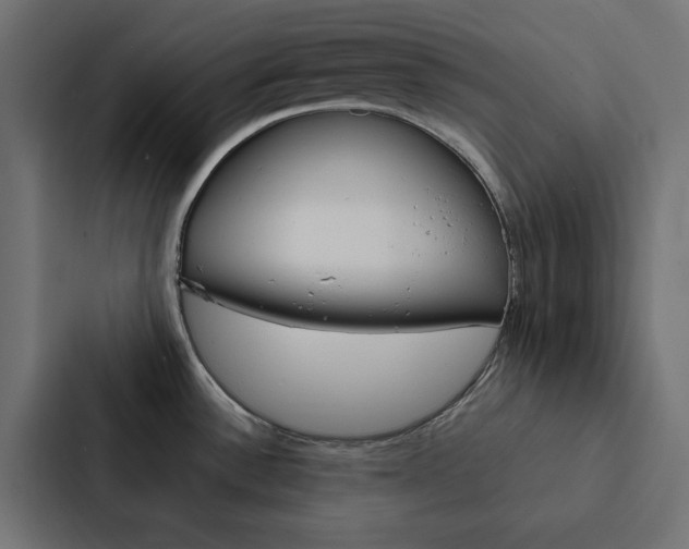 X0000088231532200705151039