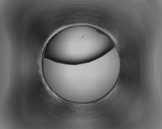 X0000088231534200705151039