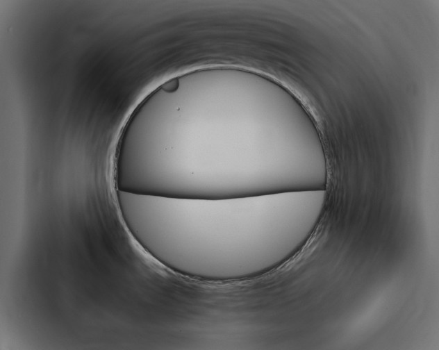 X0000088231535200705151039