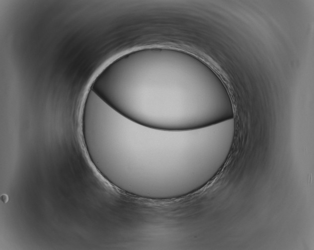 X0000088231536200705151039