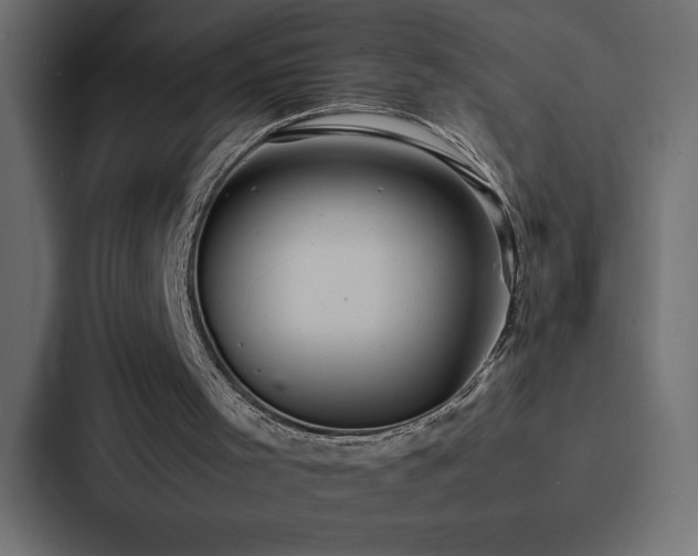 X0000088230001200705151502