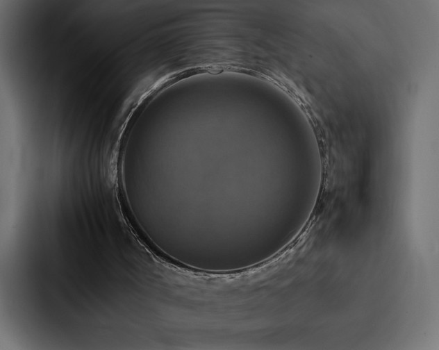 X0000088230002200705151502