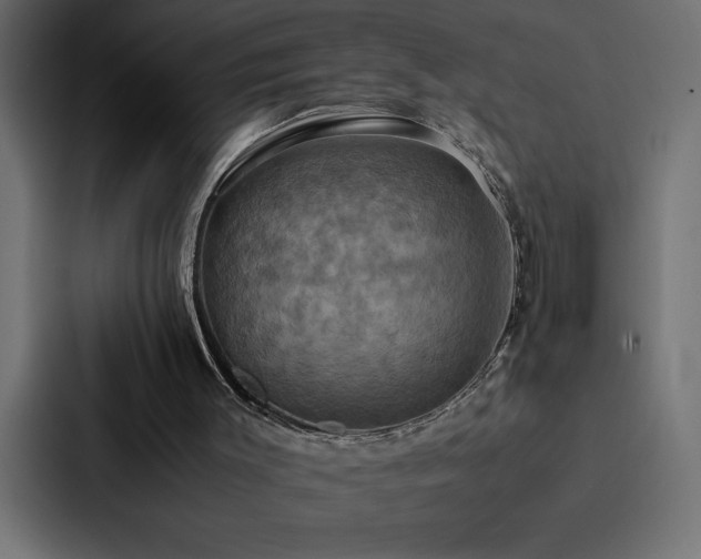 X0000088230003200705151502