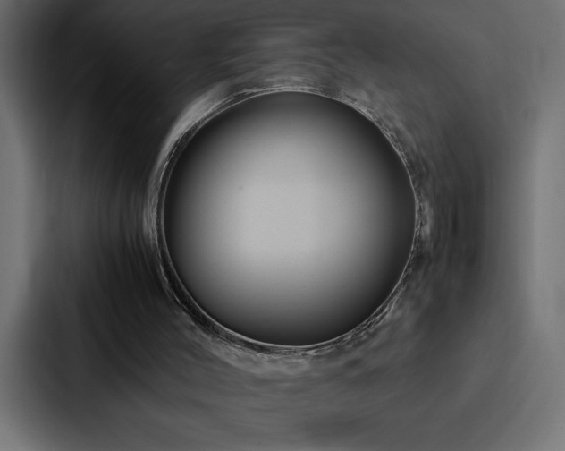 X0000088230004200705151502