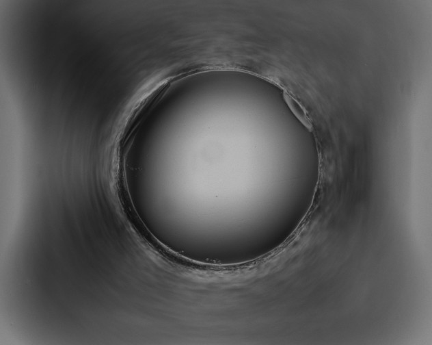 X0000088230005200705151502