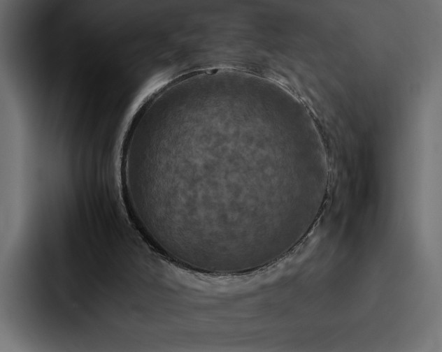 X0000088230006200705151502