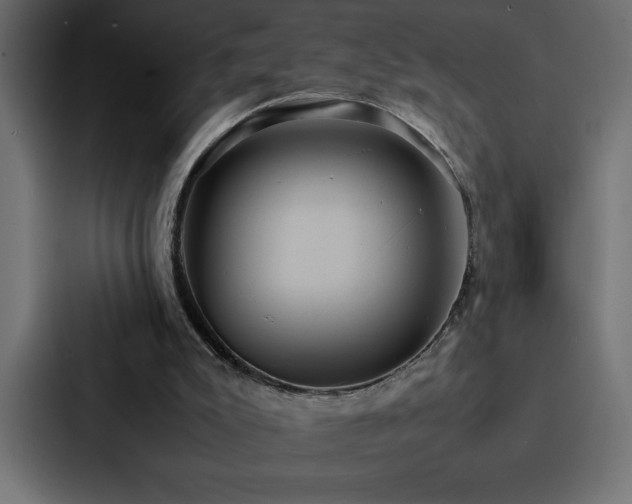 X0000088230007200705151502