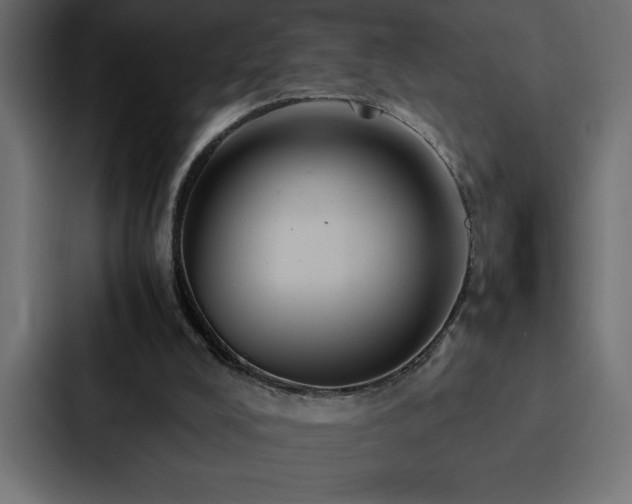 X0000088230008200705151502