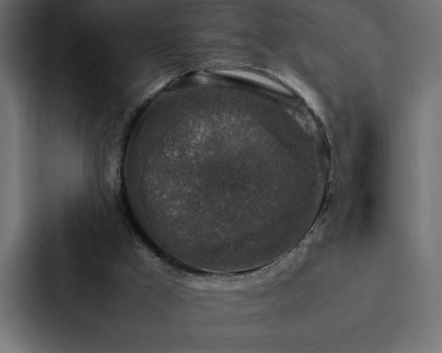 X0000088230009200705151502
