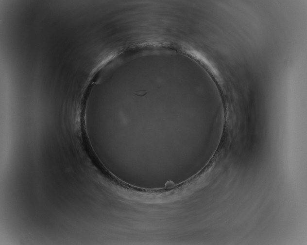 X0000088230010200705151502