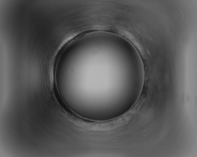 X0000088230011200705151502