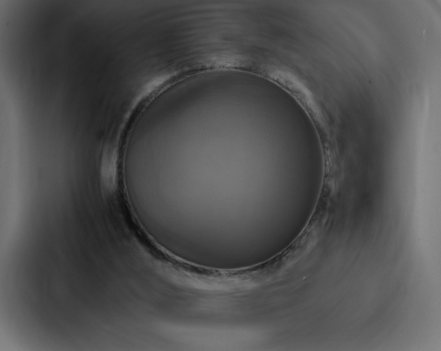 X0000088230012200705151502