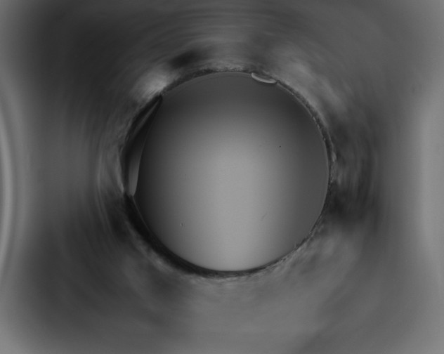 X0000088230013200705151502