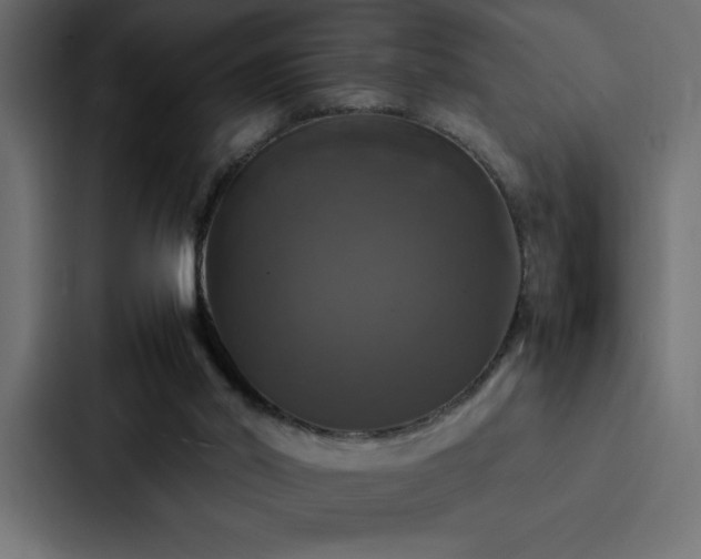 X0000088230014200705151502