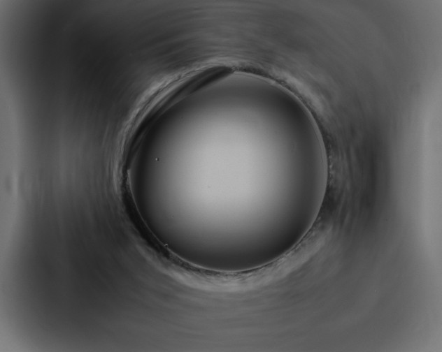 X0000088230015200705151502