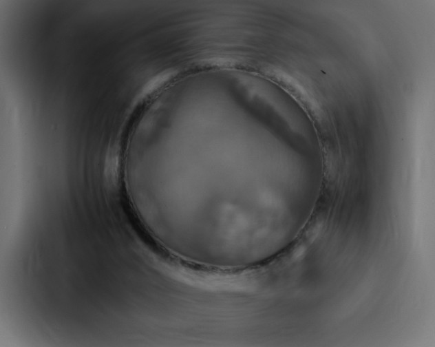X0000088230016200705151502